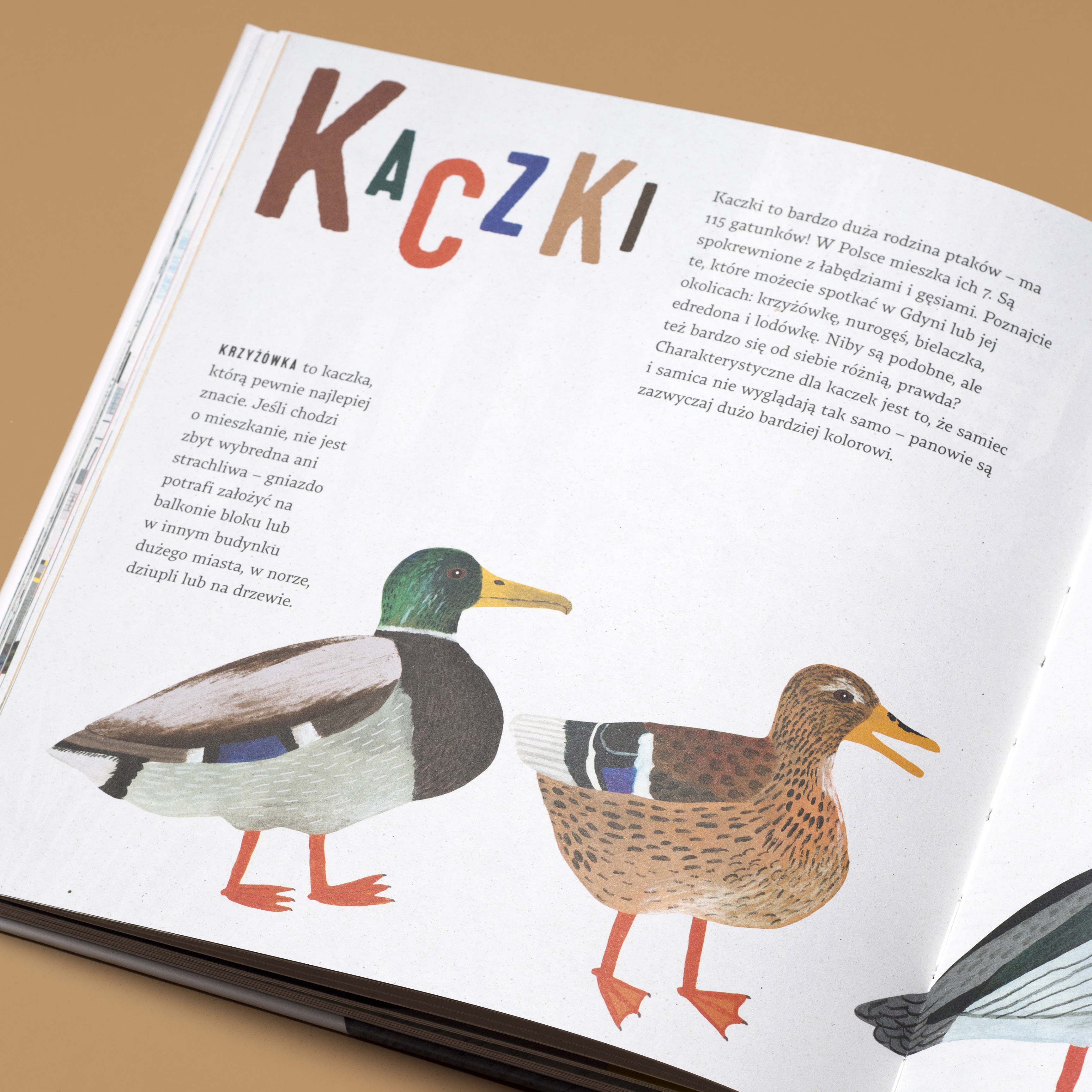 Książka &bdquo;Zapraszamy ptaki do Gdyni&rdquo; dostępna w sklepie Muzeum Miasta Gdyni, fot. mat. prasowe