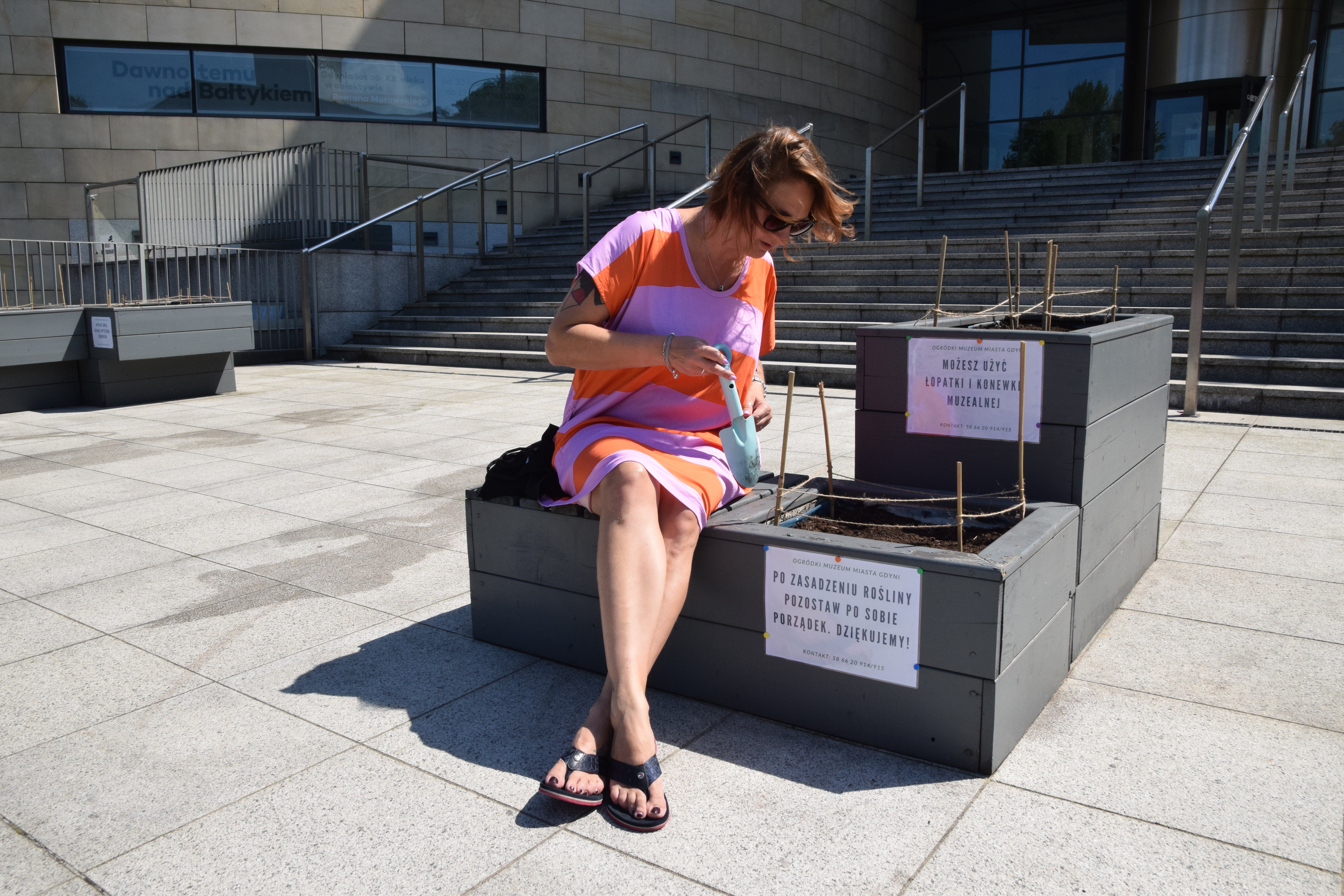 Posadź roślinę pod Muzeum Miasta Gdyni! Fot. MMG