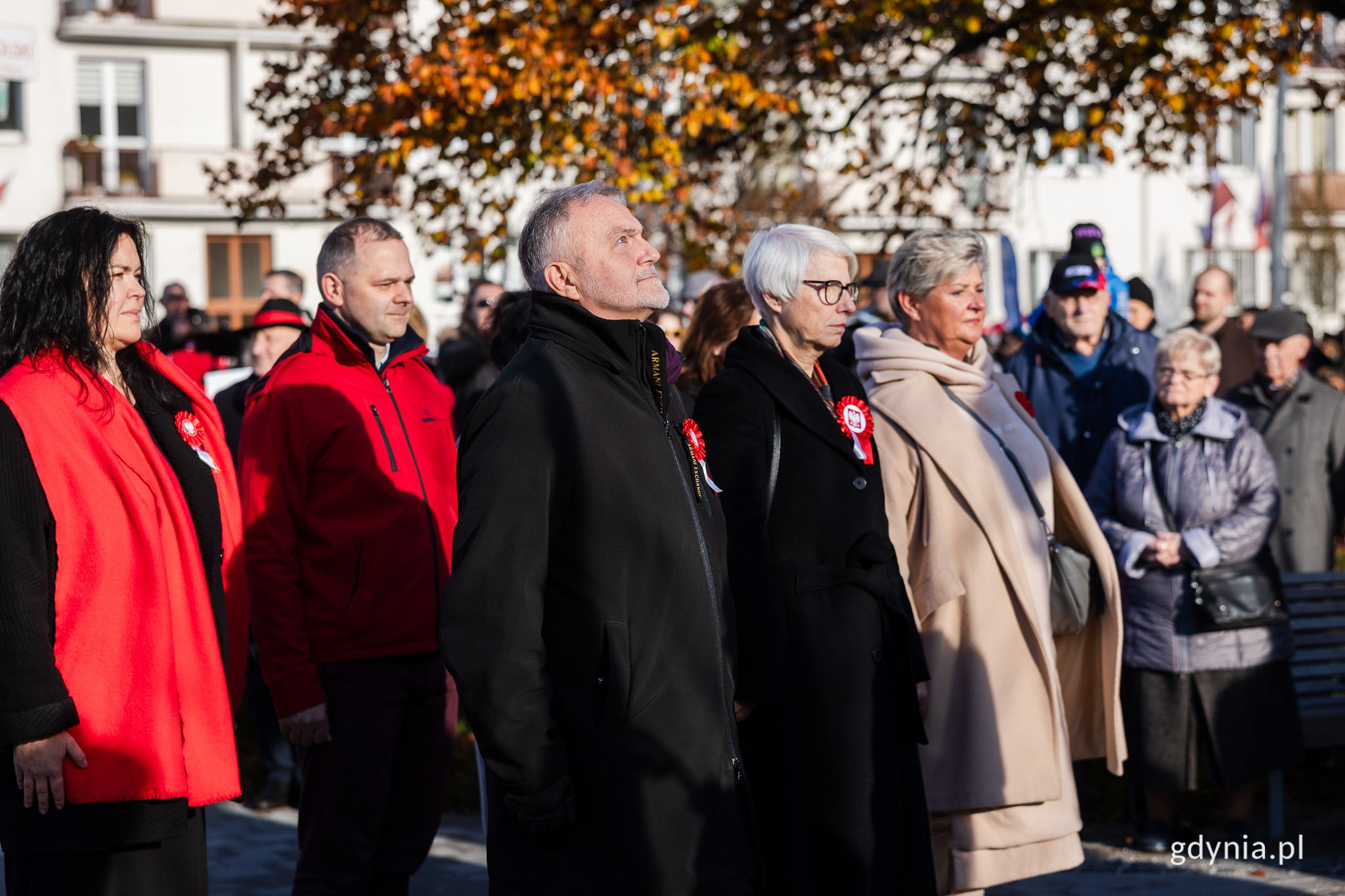 zlożenie wkiat&oacute;w