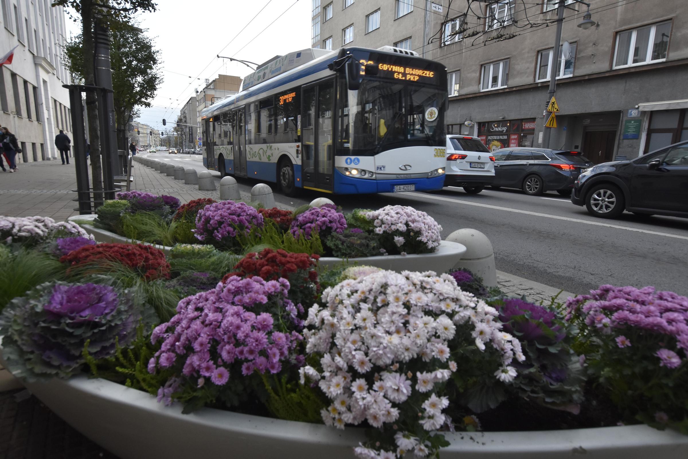 fot. Lechosław Dzierżak