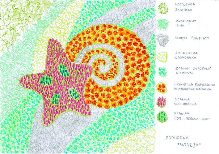 Na zdjęciu ułożony z kwiatk&oacute;w ślimak i rozgwiazda na tle fal