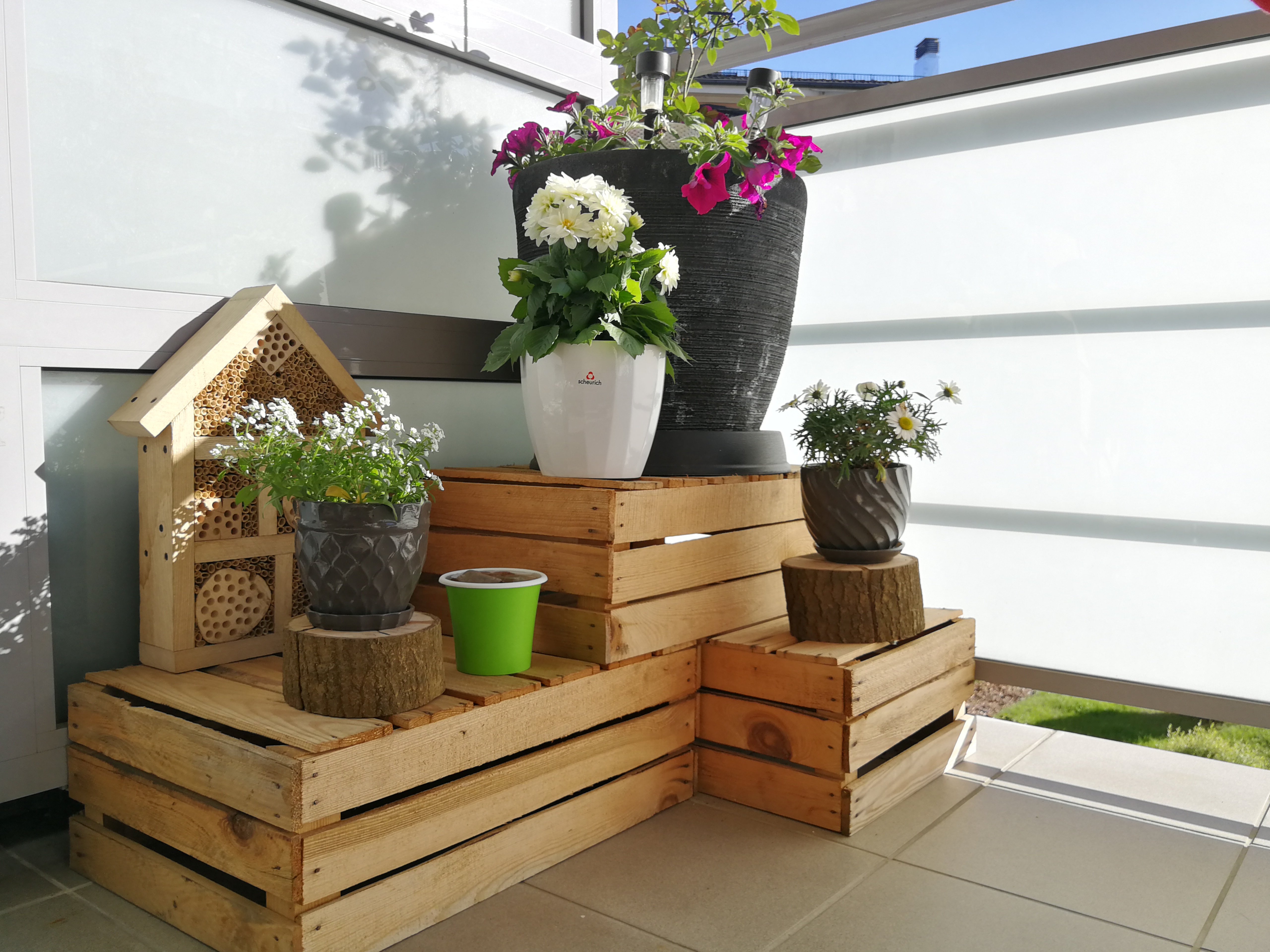 fot. materiały konkursowe