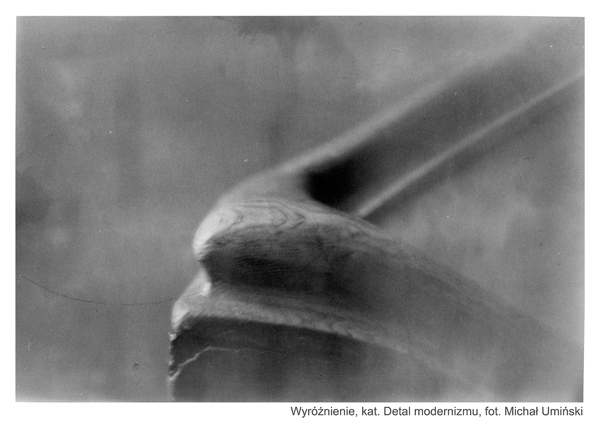 Wyr&oacute;żnienie w kategorii Detal modernizmu, fot. Michał Umiński