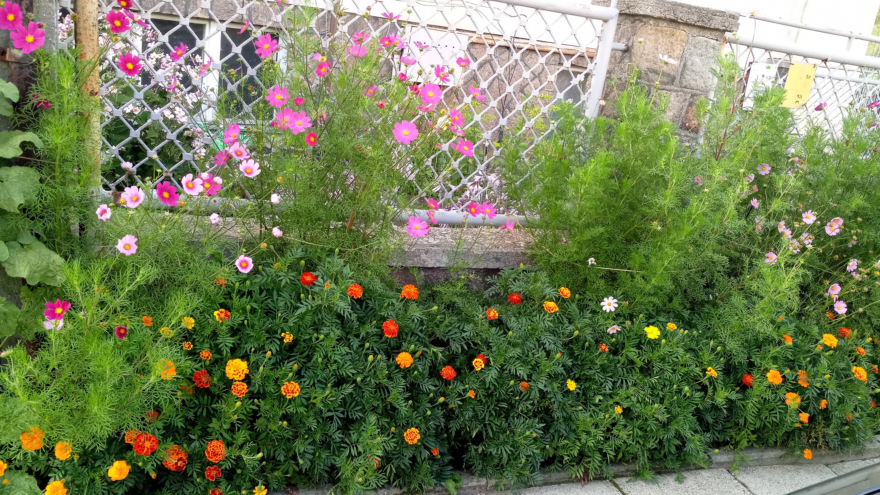 Kategoria: Zewnętrzne części budynk&oacute;w jednorodzinnych - nagroda gł&oacute;wna (jedna z dw&oacute;ch nagr&oacute;d ex aequo)