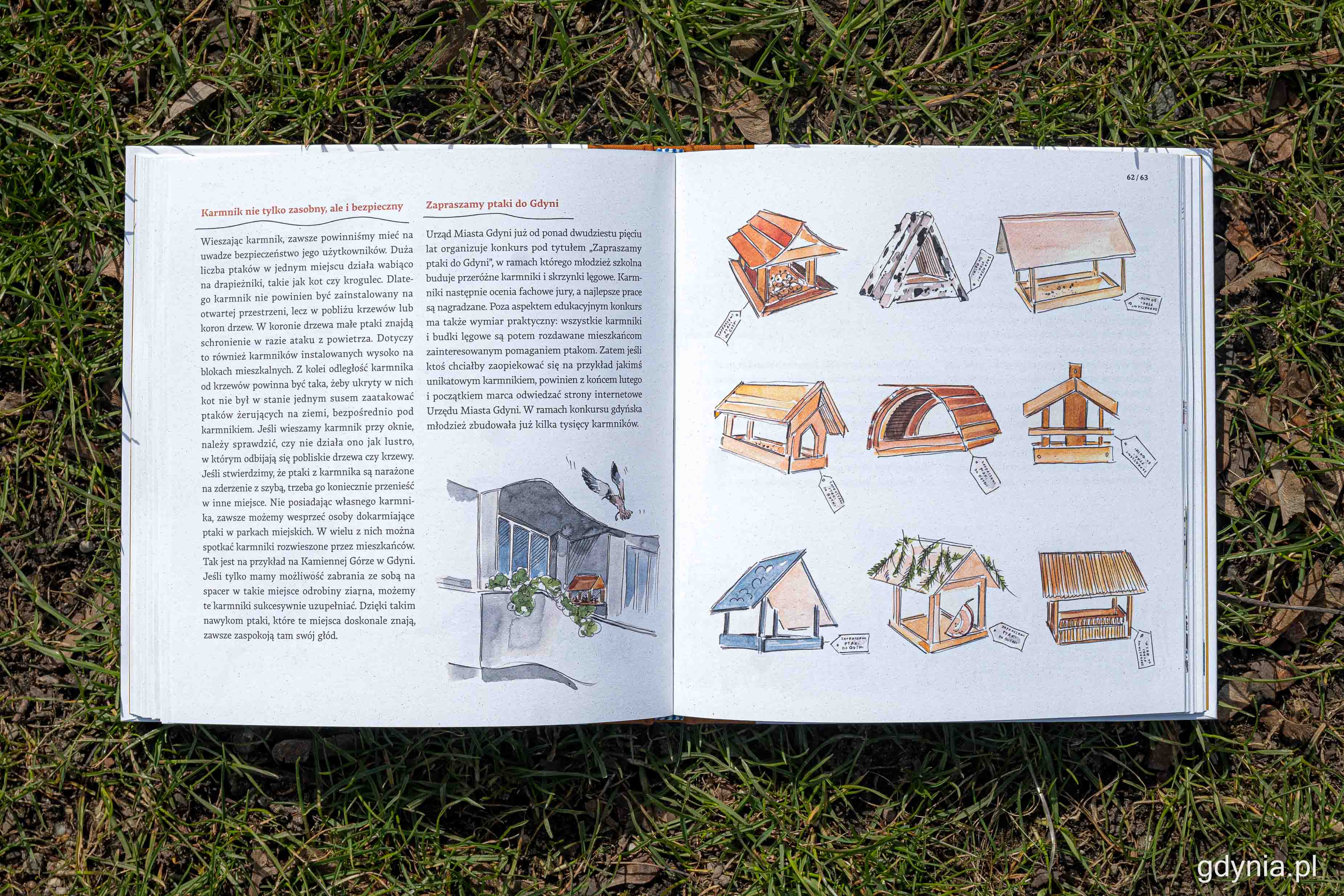 Nowa książka &bdquo;Gdynia: ptasie miasto&rdquo;, fot. Kamil Złoch