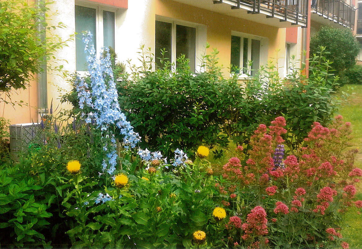 Aranżacja autorstwa Gertrudy Daniluk, w kt&oacute;rej przeważają rozchodniki, ostr&oacute;żki i łubin