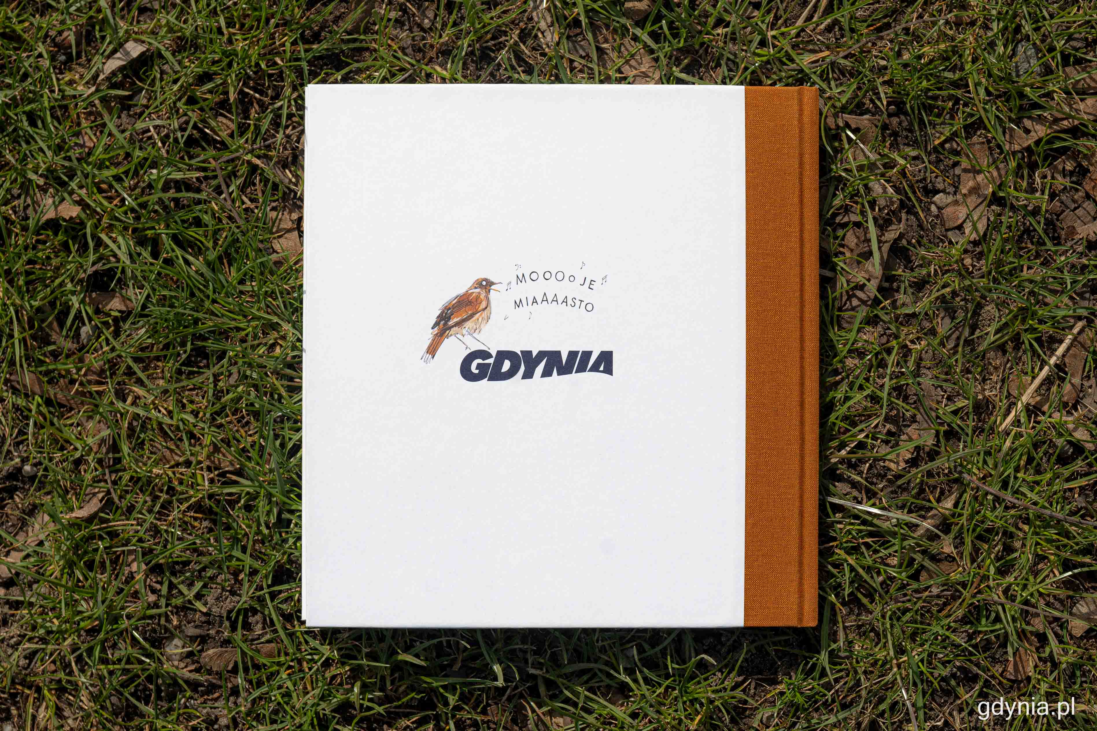 Nowa książka &bdquo;Gdynia: ptasie miasto&rdquo;, fot. Kamil Złoch