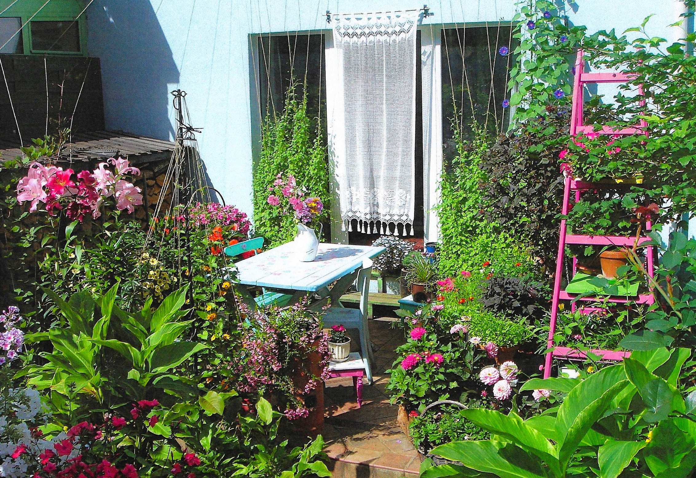 Wyr&oacute;żnienie w konkursie Gdynia w kwiatach 2019