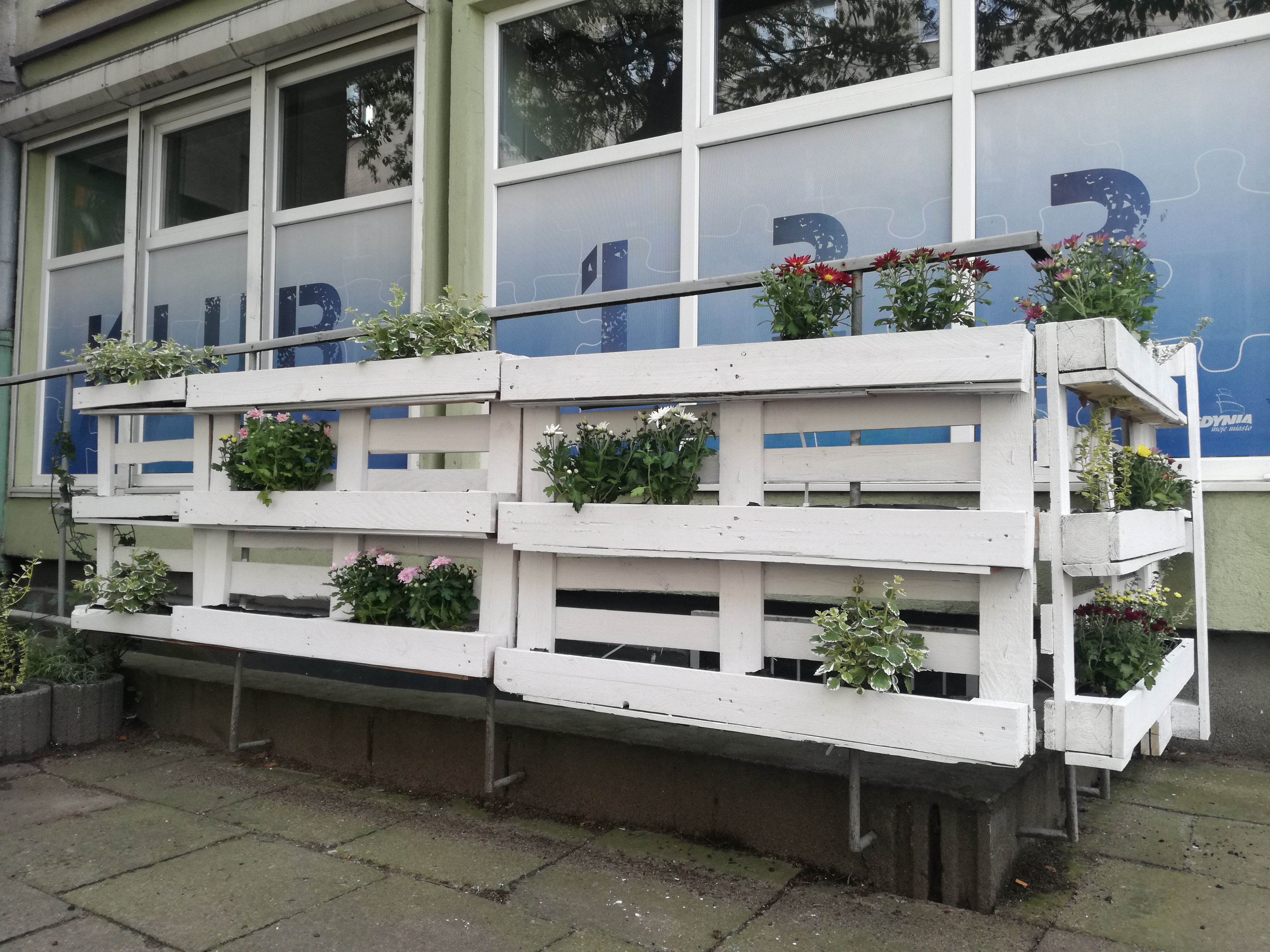 Ogr&oacute;d Centrum Samopomocy stworzony z palet pomalowanych na biało, w kt&oacute;rych umieszczone są doniczki z kwiatami i ziołami