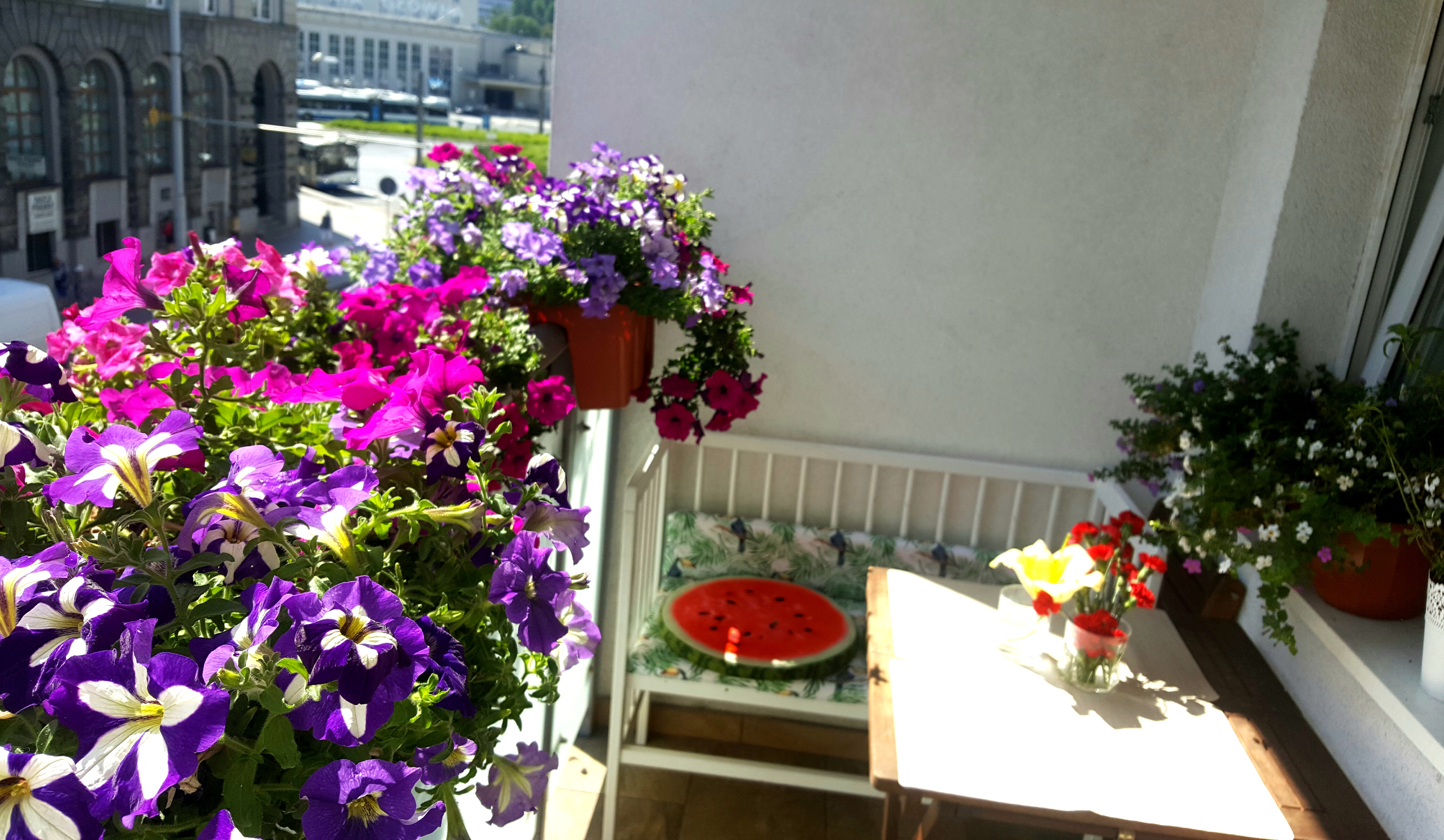 Wyr&oacute;żnienie w konkursie Gdynia w kwiatach 2019