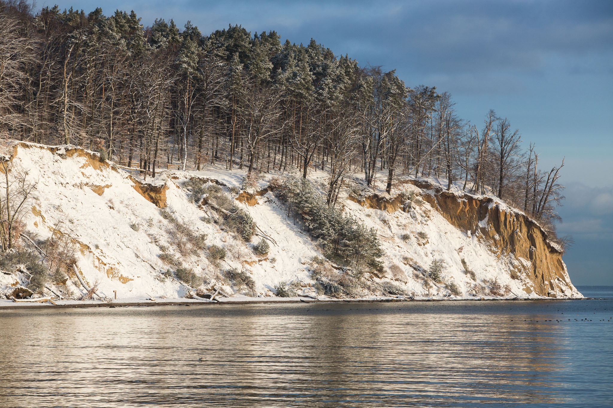 Orłowski klif w zimowej odsłonie. Fot. Karol Stańczak.